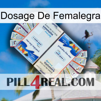 Femalegra Dosage kamagra1